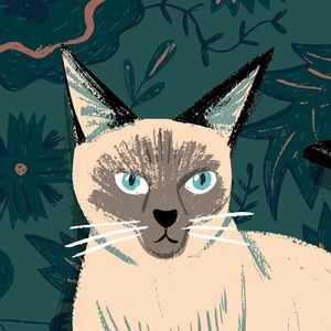 Meet your Posher, Acceb